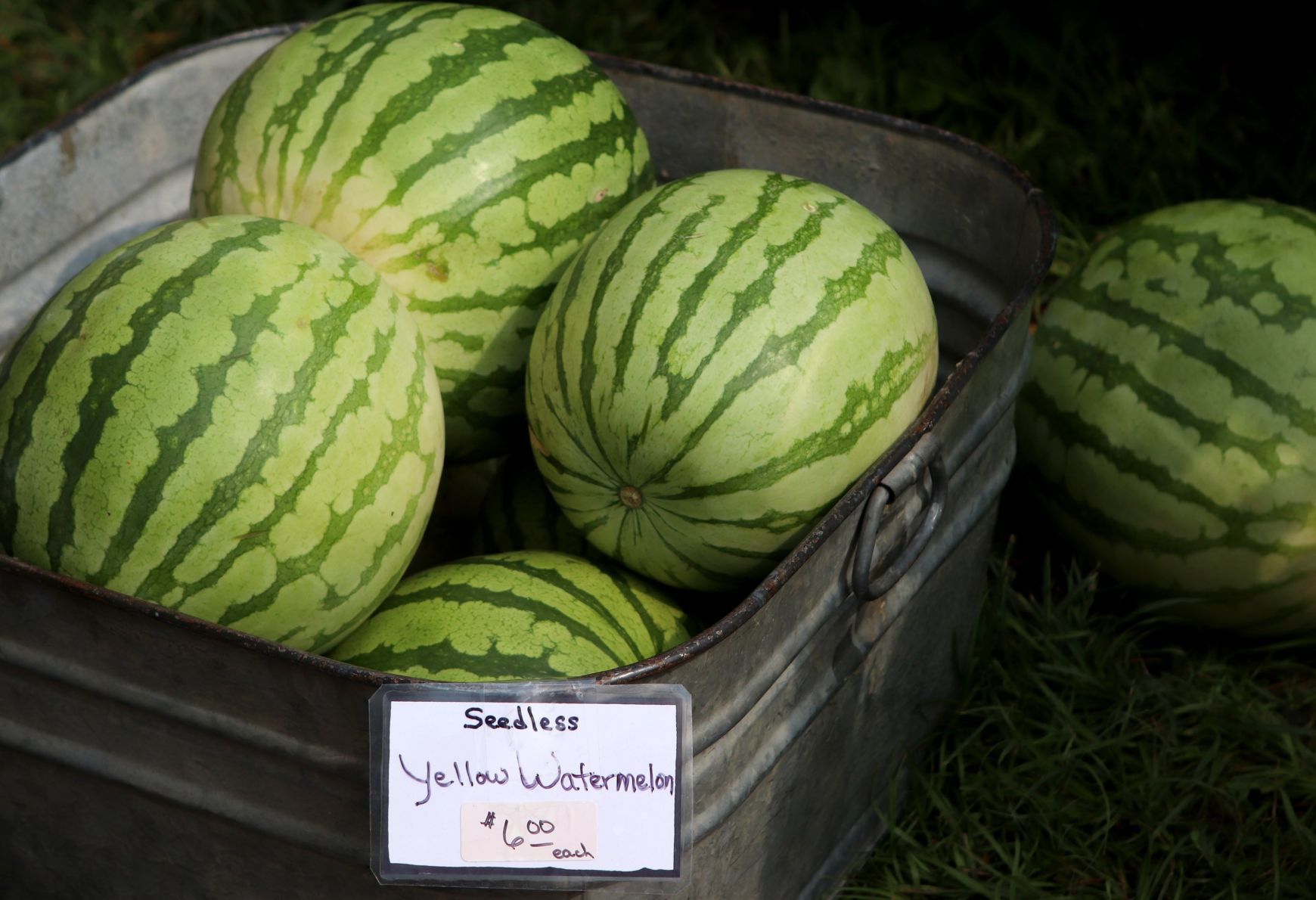 Tower Grove Farmers Market